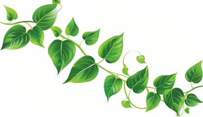 green leaf boarder clip art