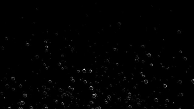 Floating of air bubbles on black background
