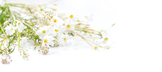 Beautiful tiny wild flowers bunch over white background, soft pastel colours, beauty invitation card design, wedding, birthday border art. Macro shot, nature, field flowers 