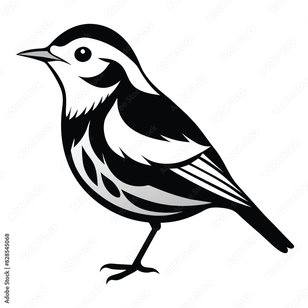 Wall mural Solid color Black and White Warbler animal vector