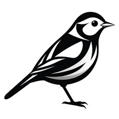 Solid color Black and White Warbler animal vector