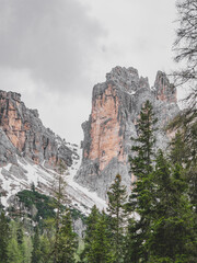 Winter and snowy mountain panorama from a pine forest on a cloudy day showing the raw power of nature in the valley of Cortina d'Ampezzo, Dolomites 