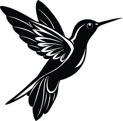 Hummingbird Silhouette Vector illustration 