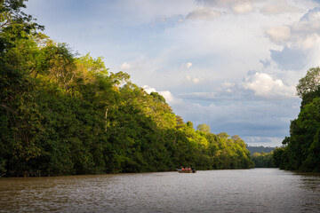 Fototapeta premium Kinabatangan River in Malaysia