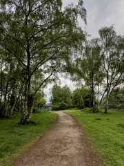 Meandering path through a tree-lined field