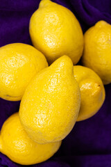 Lots of fresh whole lemons on a vioette background close-up