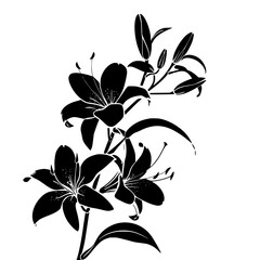 lily silhouette, lily svg, lily png, lily illustration, lily, silhouette flower, floral svg, herb svg, flower illustration, flower, floral, vector, nature, illustration, spring, design, pattern, summe