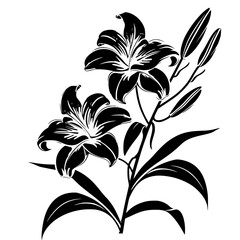 lily silhouette, lily svg, lily png, lily illustration, lily, silhouette flower, floral svg, herb svg, flower illustration, flower, floral, vector, nature, illustration, spring, design, pattern, summe