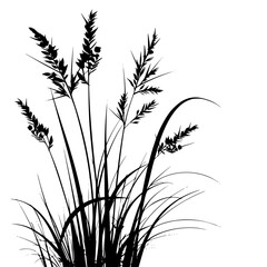 lily silhouette, lily svg, lily png, lily illustration, lily, silhouette flower, floral svg, herb svg, flower illustration, flower, floral, vector, nature, illustration, spring, design, pattern, summe