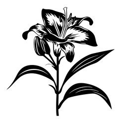 Obraz premium lily silhouette, lily svg, lily png, lily illustration, lily, silhouette flower, floral svg, herb svg, flower illustration, flower, floral, vector, nature, illustration, spring, design, pattern, summe