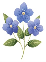 blue flowers isolated on white