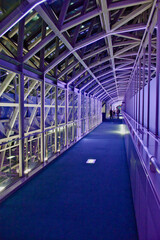 ライトアップされた通路