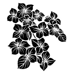 Hydrangea silhouette, Hydrangea svg, Hydrangea png, Hydrangea illustration, Hydrangea, silhouette flower, floral svg, herb svg, flower illustration, flower, floral, vector, nature, illustration, sprin