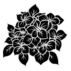 Hydrangea silhouette, Hydrangea svg, Hydrangea png, Hydrangea illustration, Hydrangea, silhouette flower, floral svg, herb svg, flower illustration, flower, floral, vector, nature, illustration, sprin