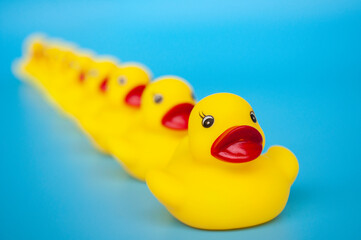 Close up of rubber duck leading other rubber ducks. Leadership concept