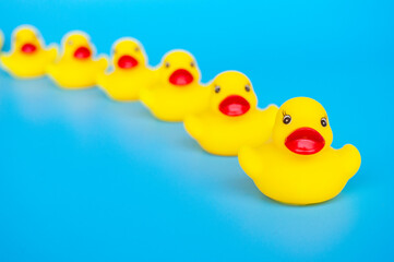 Rubber duck leading other rubber ducks with customizable space for text. Leadership concept