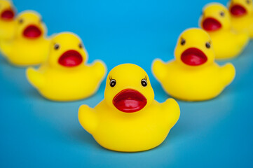 Rubber duck swimming with customizable space for text. Leadership and copy space concept.