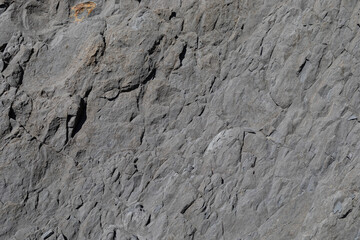 Stone texture worn by the wind and the sea of ​​the coast located on a wild beach.