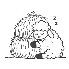 The sheep sleeps peacefully, holding a straw, its preferred meal.