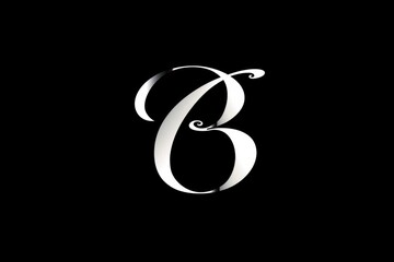 Simple black and white photo of the letter B, suitable for educational materials or graphic design projects