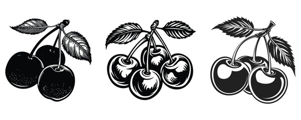 cherry silhouette vector art