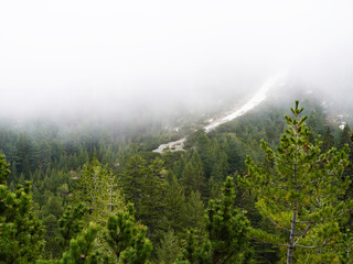 fog in the mountains