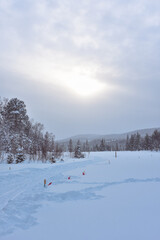 Winter in a spruce forest, spruces covered with white fluffy snow. Selective focus. Winter Landscape with Snow and Trees. Snow covered trees in forest during winter