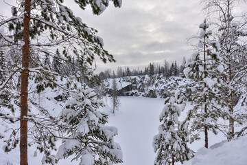 Winter in a spruce forest, spruces covered with white fluffy snow. Selective focus. Winter Landscape with Snow and Trees. Snow covered trees in forest during winter