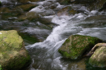 Region Teutoburger Wald im Frühling
