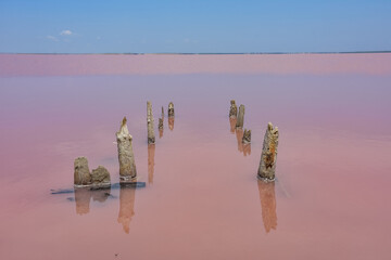 wooden piers in salt lake, wooden remains in pink lake