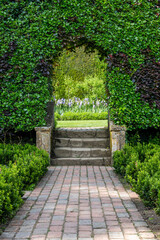 hedge arch in the garden