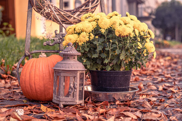 A pumpkin, lantern, and potted flowers sit atop a leaf pile