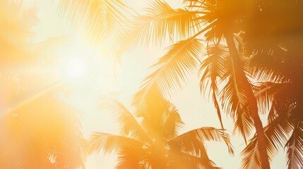 Background featuring sunlit tropical palm leaves creating a warm, golden atmosphere