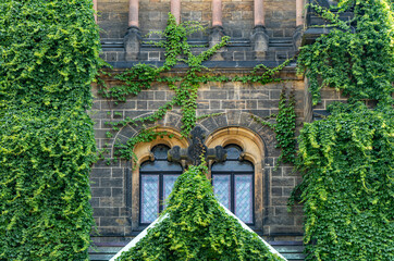 Martin Luther Church in Dresden, ivy-covered