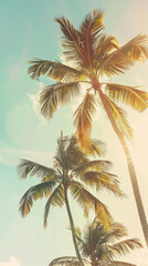 Natural summer background featuring sunlit tropical palm trees swaying in the breeze