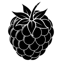  one-raspberries vector illustration 