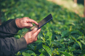 Smart farmer holding smartphone in eco green farm sustainable quality control. Close up Hand...