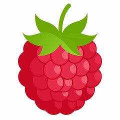  one-raspberries vector illustration 