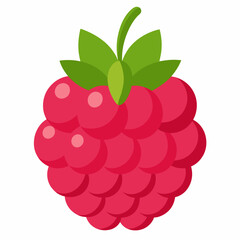 one-raspberries vector illustration 