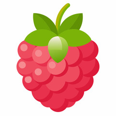 one-raspberries vector illustration 