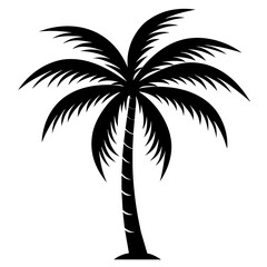 palm-tree-vector-illustration