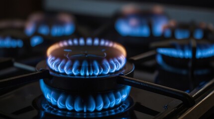 Gas flame on stove, blue flame