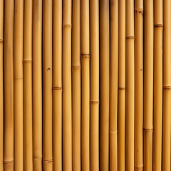 Fototapeta premium bamboo background