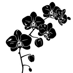 orchid silhouette, orchid svg, orchid png, orchid illustration, orchid, silhouette flower, floral svg, herb svg, flower illustration, flower, floral, vector, nature, illustration, spring, design, patt