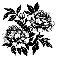 peony silhouette, peony svg, peony png, peony illustration, peony, silhouette flower, floral svg, herb svg, flower illustration, flower, floral, vector, nature, illustration, spring, design, pattern,  © Feroza Bakht