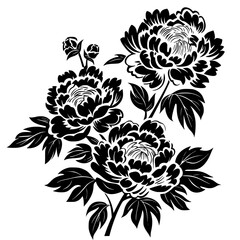 peony silhouette, peony svg, peony png, peony illustration, peony, silhouette flower, floral svg, herb svg, flower illustration, flower, floral, vector, nature, illustration, spring, design, pattern,  © Feroza Bakht