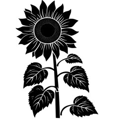 Fototapeta premium sunflower silhouette, sunflower svg, sunflower png, sunflower illustration, sunflower , silhouette flower, floral svg, herb svg, flower illustration, flower, floral, vector, nature, illustration, spri