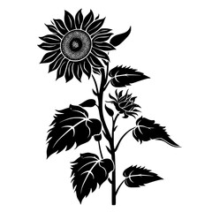 sunflower silhouette, sunflower svg, sunflower png, sunflower illustration, sunflower , silhouette flower, floral svg, herb svg, flower illustration, flower, floral, vector, nature, illustration, spri