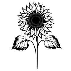 sunflower silhouette, sunflower svg, sunflower png, sunflower illustration, sunflower , silhouette flower, floral svg, herb svg, flower illustration, flower, floral, vector, nature, illustration, spri