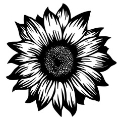 sunflower silhouette, sunflower svg, sunflower png, sunflower illustration, sunflower , silhouette flower, floral svg, herb svg, flower illustration, flower, floral, vector, nature, illustration, spri